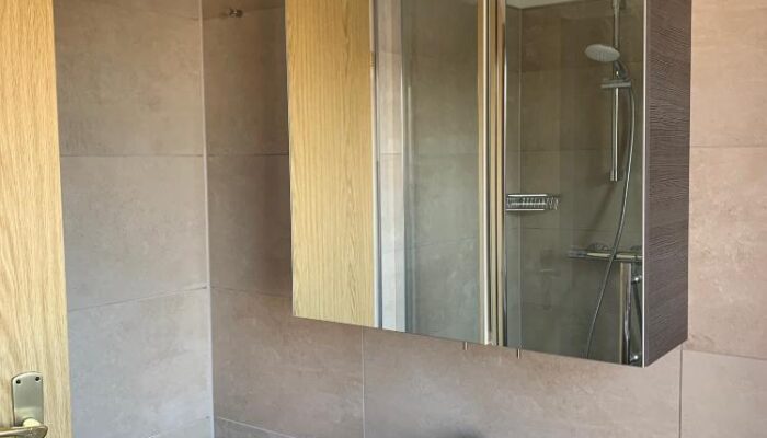 a17a8ee1cc77ac95930c1b4f6ba72da13720ea4f
